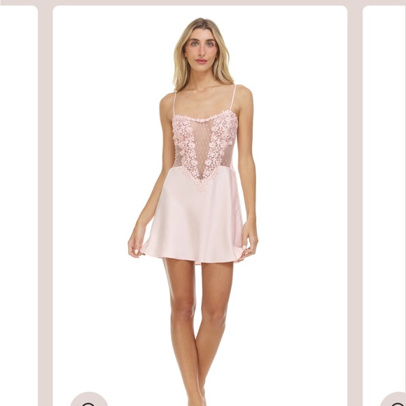 Flora Nikrooz Dresses & Skirts - Flora Nikrooz Showstopper Appliqué Chemise